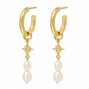 Golden Star&Pearl Earring